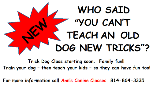 Ann's Canine Classes